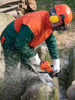 Stihl Equipment Sales and Service - TVS Power Equipment