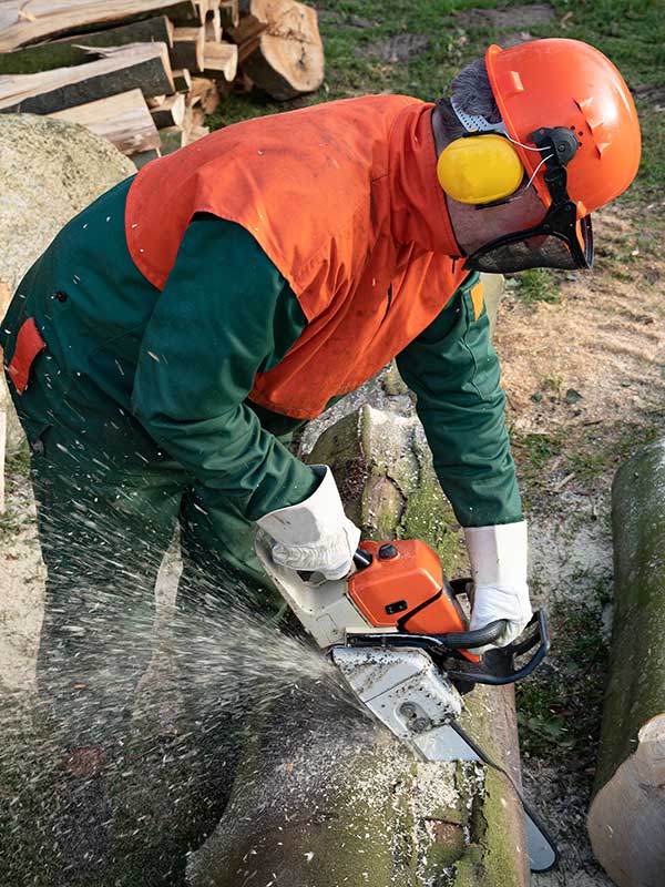 Stihl Equipment Sales and Service - TVS Power Equipment