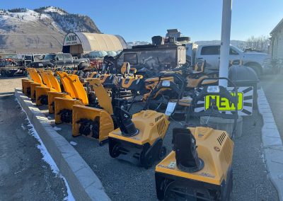 TVS Power cub cadet snowblowers in stock